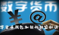 专家揭秘：数字货币钱包加锁的独家秘诀，你不