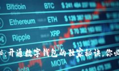 “专家揭秘：开通数字钱包的独家秘诀，你必须