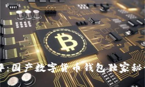 2023年专家点评：国产数字货币钱包独家秘诀，五大热门推荐