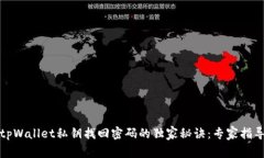 tpWallet私钥找回密码的独家秘诀：专家指导