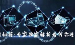 tpWallet使用秘籍：专家独家解析为何你进入后一片