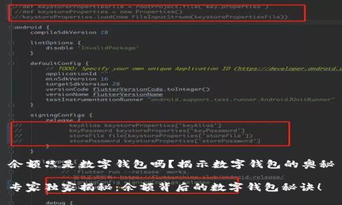 余额只是数字钱包吗？揭示数字钱包的奥秘

专家独家揭秘：余额背后的数字钱包秘诀！