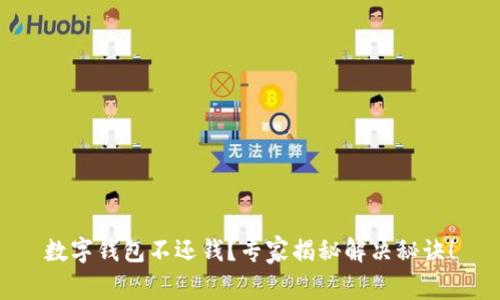数字钱包不还钱？专家揭秘解决秘诀！