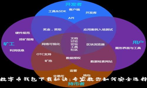 数字币钱包下载秘诀：专家教你如何安全选择