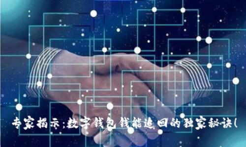 专家揭示：数字钱包钱能追回的独家秘诀！