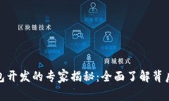 数字钱包开发的专家揭秘：全面了解背后的秘诀