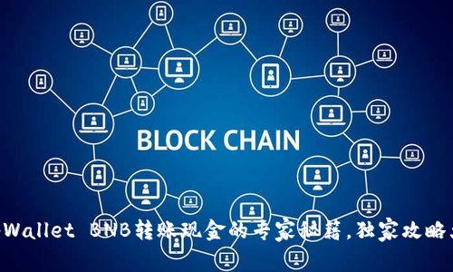手机tpWallet BNB转账现金的专家秘籍，独家攻略大公开！