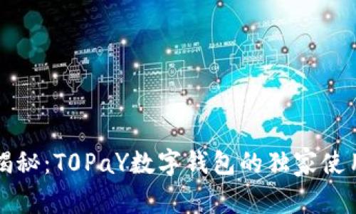 专家揭秘：T0PaY数字钱包的独家使用秘诀