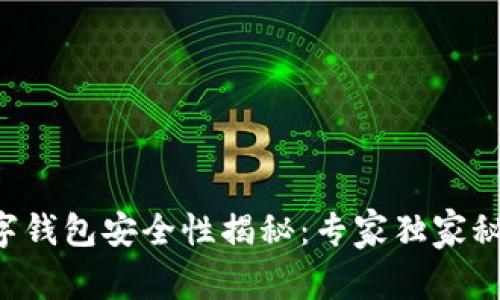 ICP数字钱包安全性揭秘：专家独家秘诀分享