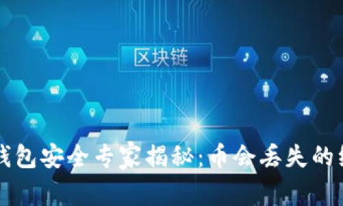 区块链钱包安全专家揭秘：币会丢失的绝对秘诀