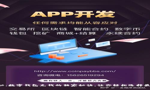 专家揭秘：数字钱包充钱的独家秘诀，让你轻松选择最佳方式！