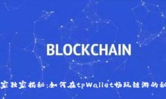 专家独家揭秘：如何在tpWallet畅玩链游的秘诀