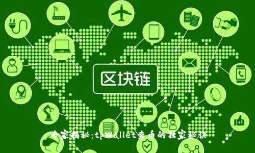 专家揭秘：tpWallet查币的独家秘诀