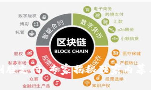 数字钱包刷脸支付：专家揭秘独家内幕与安全秘诀