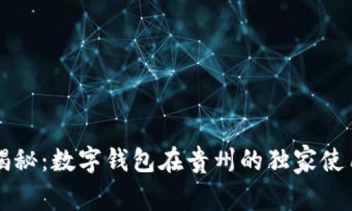 专家揭秘：数字钱包在贵州的独家使用秘诀