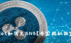 tpWallet如何充BNB？专家揭秘独家秘诀！