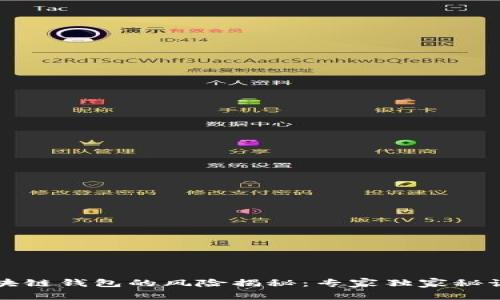 导入区块链钱包的风险揭秘：专家独家秘诀告诉你