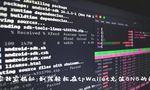 专家独家揭秘：如何轻松在tpWallet充值BNB的秘诀