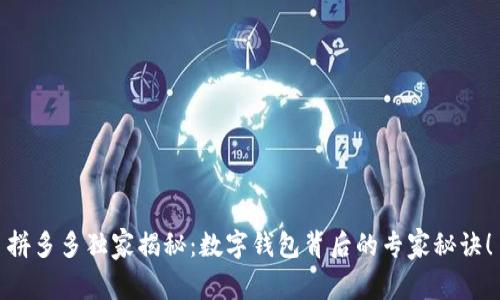 拼多多独家揭秘：数字钱包背后的专家秘诀！