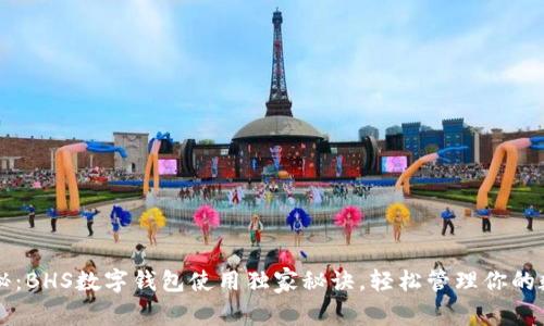 专家揭秘：BHS数字钱包使用独家秘诀，轻松管理你的数字资产