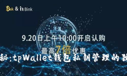 专家揭秘：tpWallet钱包私钥管理的独家秘诀