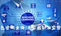 建行数字钱包密码查询：专家揭秘独家密码找回