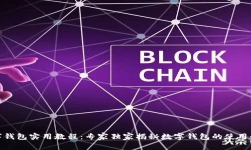 数字钱包实用教程：专家独家揭秘数字钱包的使用秘诀