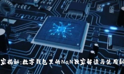 专家揭秘：数字钱包里的NaN独家解读与使用秘诀