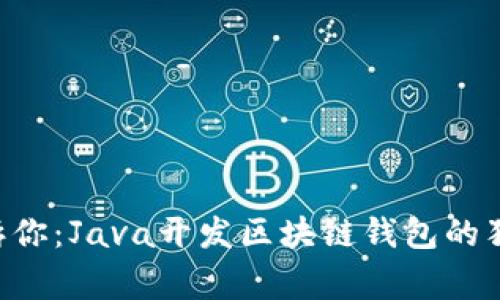 专家告诉你：Java开发区块链钱包的独家秘诀！