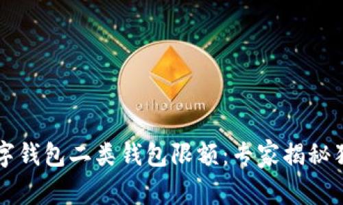 工行数字钱包二类钱包限额：专家揭秘独家秘诀