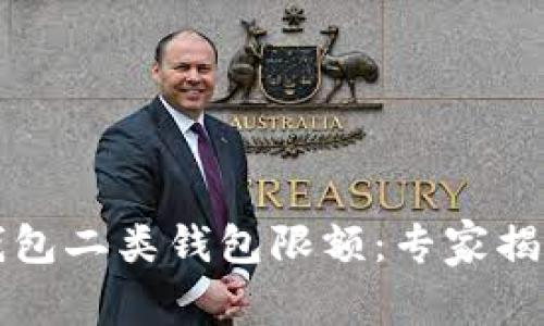 工行数字钱包二类钱包限额：专家揭秘独家秘诀