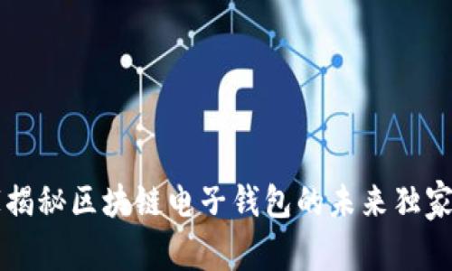 专家揭秘区块链电子钱包的未来独家秘诀