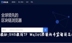 独家揭秘：BNB提到TP Wallet限额的专家解析及秘诀