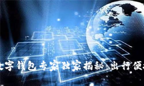 广州地铁数字钱包专家独家揭秘：出行便捷的新秘诀