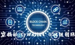 专家独家揭秘：tpWallet BSC链转账的秘诀