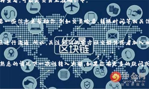 很抱歉你遇到问题。如果你的货币在转入tpWallet时没有到账，这里有一些可能的解决办法和建议，希望能帮到你。

### 一、检查交易记录
首先，你可以查看你的交易记录。确保你在转账时输入的地址是正确的。有时候，输入错误的地址会导致资产丢失。登录你的tpWallet，查看最近的交易历史，确认交易是否已经成功。

### 二、确认网络状态
有时，网络状况可能影响交易的速度。如果转账使用的是区块链技术，等待一些时间再查看，可能是交易正在确认中。

### 三、联系技术支持
如果你确认交易成功但仍未到账，可以尝试联系tpWallet的技术支持。他们可能需要一些信息来帮助你，例如交易哈希、转账时间等相关信息。

### 四、关注社交媒体和社区
在某些情况下，tpWallet可能会遇到系统问题，这往往会通过社交媒体或其用户社区进行沟通。所以，关注他们的官方社交媒体或者加入相关的讨论群组，获取最新动态。

### 五、考虑风险管理
在未来进行加密货币交易时，确保你了解转账的风险，使用小额测试转账，避免在不熟悉的情况下一次性转入大额。如果你有更多的疑问或者需要深入了解，可以继续查询相关的资源，确保你的每一次操作都在安全范围内。

如果你有更多具体的问题或需要进一步的帮助，随时告诉我！