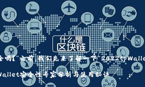 在回答“2022tpWallet安全吗？”之前，我们先来了解一下“2022tpWallet”这个钱包的背景和功能。

### 独家揭秘：2022tpWallet安全性专家分析与使用秘诀