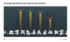 专家揭秘：数字钱包丢失后的独家应对秘诀