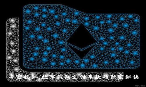 专家揭秘：数字钱包支付车款的独家秘诀