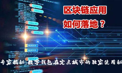 : 专家揭秘：数字钱包在定点城市的独家使用秘诀