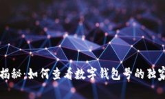 专家揭秘：如何查看数字钱包号的独家秘诀