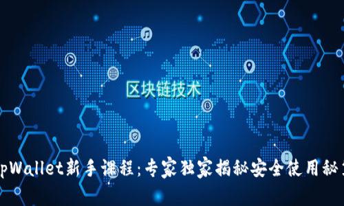 tpWallet新手课程：专家独家揭秘安全使用秘笈