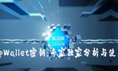 揭秘tpWallet密钥：专家独家分析与使用秘诀