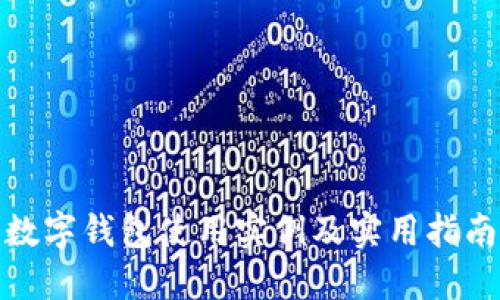 数字钱包使用实例及实用指南