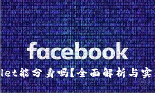 tpWallet能分身吗？全面解析与实用指南