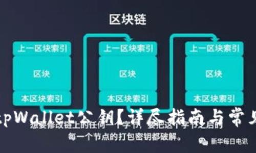 如何导出tpWallet公钥？详尽指南与常见问题解答
