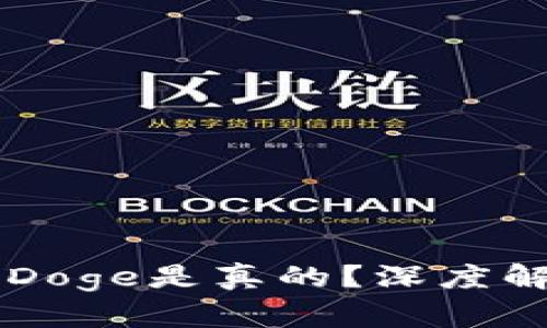 tpWallet哪个Doge是真的？深度解析与使用指南