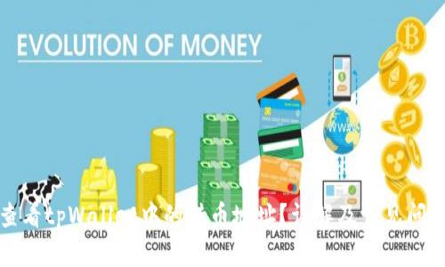 如何查看tpWallet中的持币地址？详解及常见问题解答