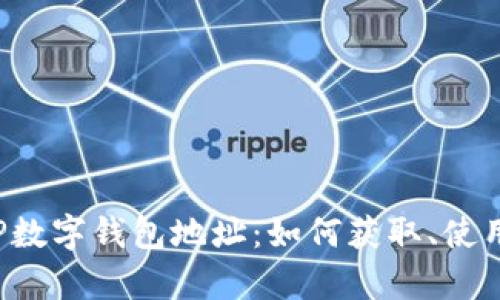 全方位解析ICP数字钱包地址：如何获取、使用与安全性剖析