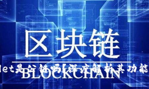 tpWallet是公链吗？深度解析其功能与特点